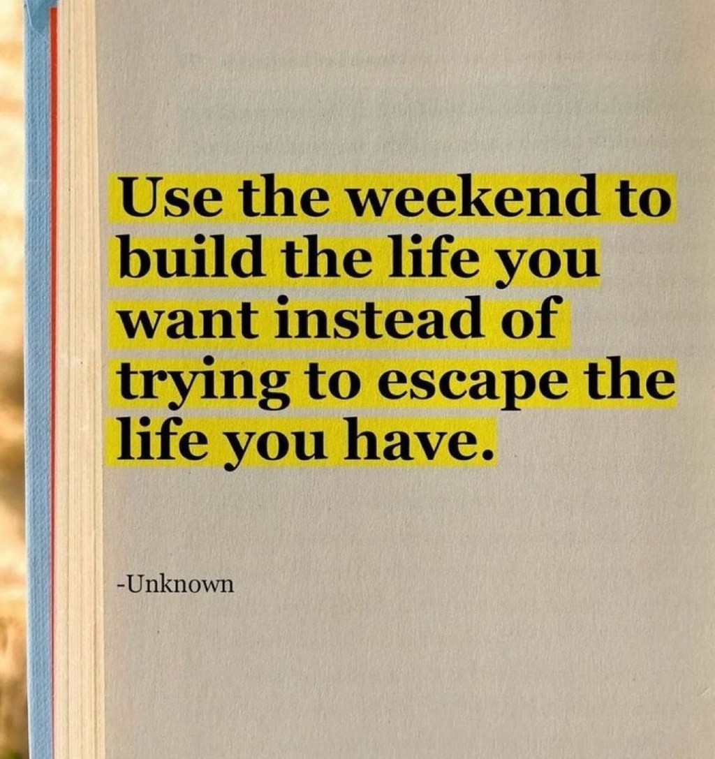 The Museum of&nbsp;Almost.